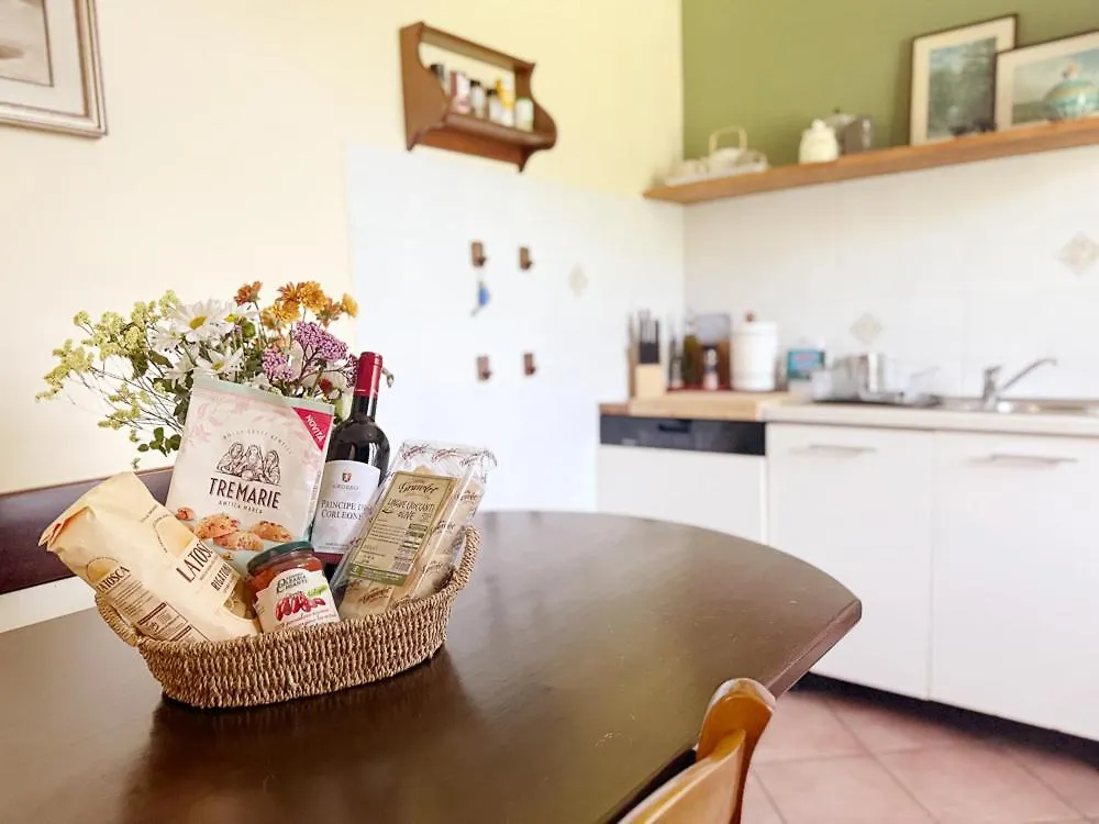 Casa Gino Apartment Casale Marittimo Italy